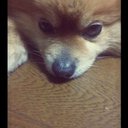 tosshi0115