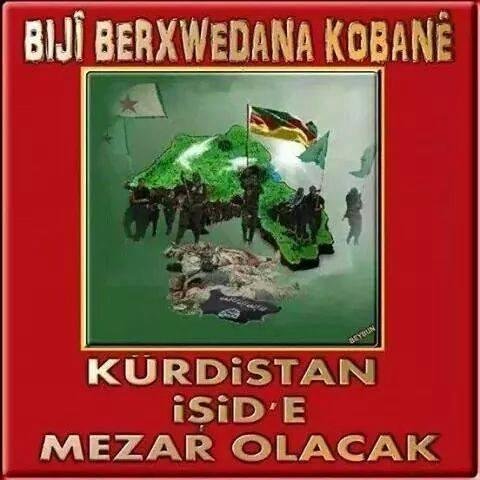 Yusuf Ziya YILMAZ Twitter Hesabı Profil Fotoğrafı Yusuf Ziya YILMAZ Twitter Hesabı Profil Fotoğrafı