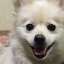 トモツグ (@0000jatAw) Twitter