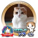 makotin02 (@01310824) Twitter