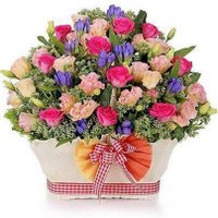 @fathymando260