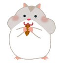 spanda07 (@007_panda) Twitter