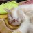@itamemono1234