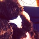 MANA (@0084_mana) Twitter