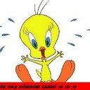 Ramina Saeed (@00_ramina) Twitter