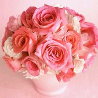 @sose393
