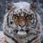 Twitter result for Tesco Wine from GoldtigerJohn
