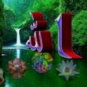Ahmed Elbadry (@00fd95f63451466) Twitter