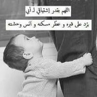 @1993Alk