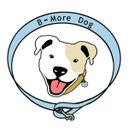 BMoreDog