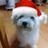보고싶다
@pppppcha pppppcha