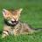 @fun_with_cats