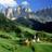 Twitter result for Dorothy Perkins from garnkni__magrkp