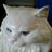 Twitter result for Homebase from CoolcatWon