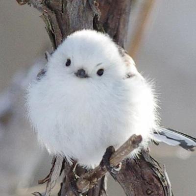 ゆ
