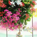 ☆MikaP☆ (@0207Kamist) Twitter