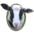 schaapskuddehaaksb