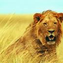 ابو رعين (@019c29a7e3134a8) Twitter