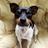 Twitter result for Home Essentials from jiyukia_506