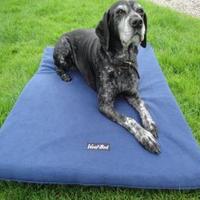 @Woofbed