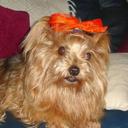 Madalaine Van Rooyen (@0088d90144a84df) Twitter