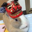 うさぎのきなこ (@0102Of) Twitter
