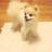 멍뭉이
@_nandayo8 _nandayo8