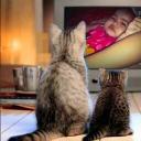 Mardiyah 01 (@01Mardiyah) Twitter