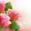 sweety (@000_sweety) Twitter