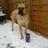 Twitter result for Carphone Warehouse from joroxy66