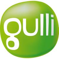 @GULLI_Ru