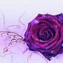 Daniel Pierce (@0058038b76aa440) Twitter