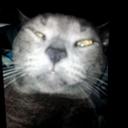 Nana la croate (@02082003nana) Twitter