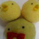 0205bob (@0205bob) Twitter
