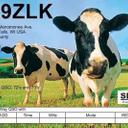 KB9ZLK