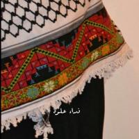 @fedaallouh