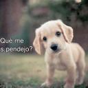 Miguel Angel Rodrigu (@01Manesita) Twitter