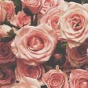 Samah Alharbi (@0000111110000) Twitter