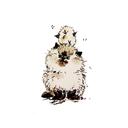 あい (@0129shiba) Twitter