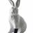 Rabbit Foot