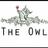 The Owl Tamworth