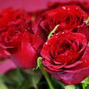 dilnaz ibraimova (@0026Dilnaz) Twitter