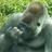 The profile image of warmaqua