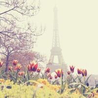 @SoloDePaisajes