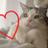 @kawaiipet_