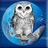 Owl Network