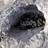 profil_image_twitter