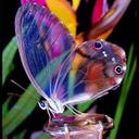 Gloria Carrizalez (@016a1b214bbd42d) Twitter