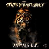 @SOE_MUSIC