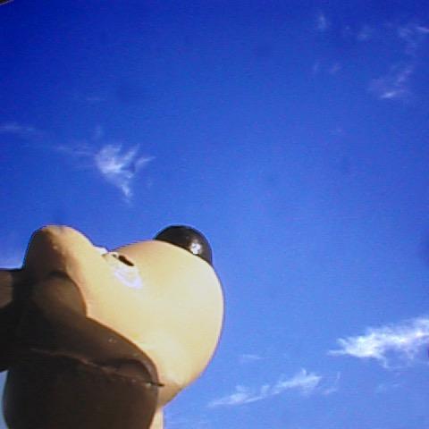 snoopy1962